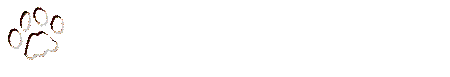 Leather Leash Store
